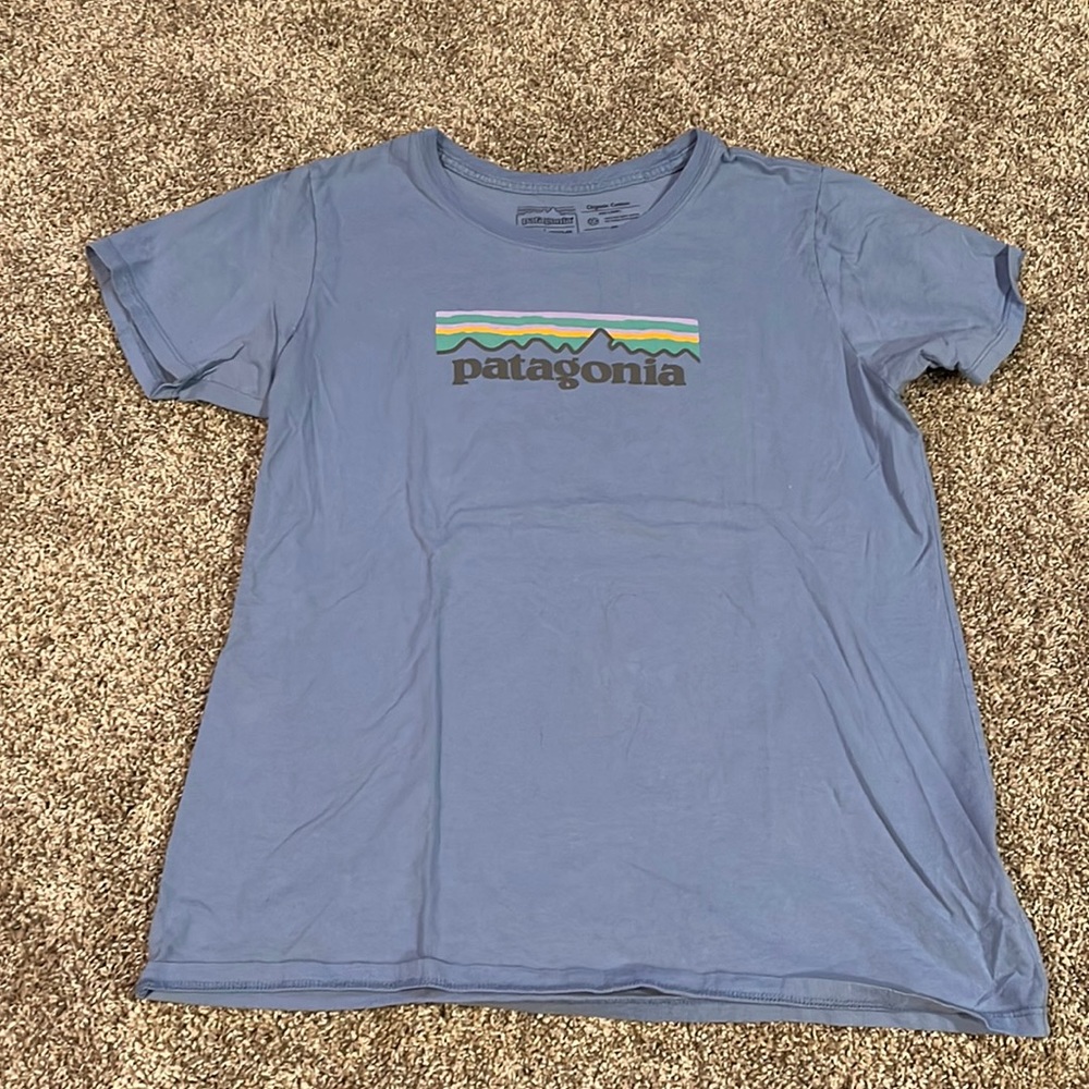 Patagonia Light Blue T-shirt
